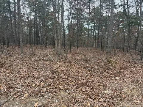 486 Mc 2084, Peel, AR 72668 photo 14