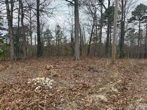 486 Mc 2084, Peel, AR 72668 photo 10