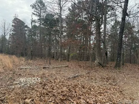 486 Mc 2084, Peel, AR 72668 photo 13