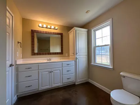 1111 Silver Leaf Dr, Alexander, AR 72002 photo 22