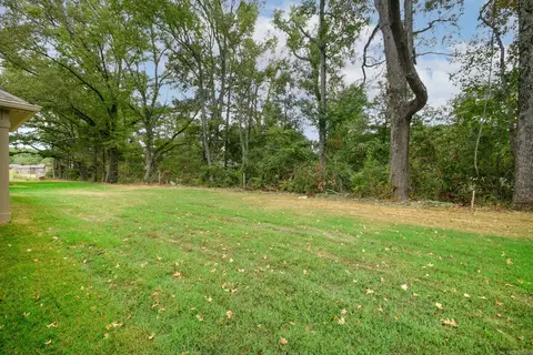 13 Wolfsbridge Loop, Cabot, AR 72023 photo 47