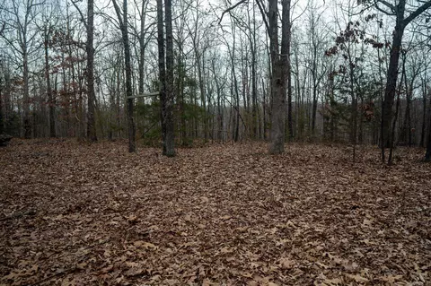000 Nubbin Ridge Rd, Ravenden Springs, AR 72460