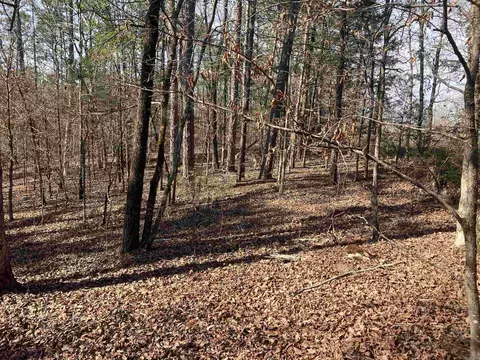 9999 Riverfront Dr, Mount Ida, AR 71957 photo 2