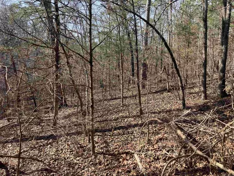 9999 Riverfront Dr, Mount Ida, AR 71957 photo 3