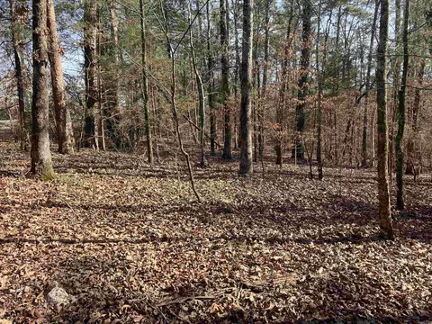 9999 Riverfront Dr, Mount Ida, AR 71957 photo 4