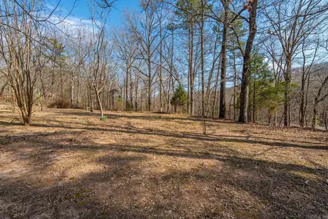 19 Broken Rock Rd, Mount Ida, AR 71957 photo 29