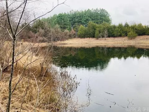 lot29 Tbd Millstone Dr, Greenbrier, AR 72058