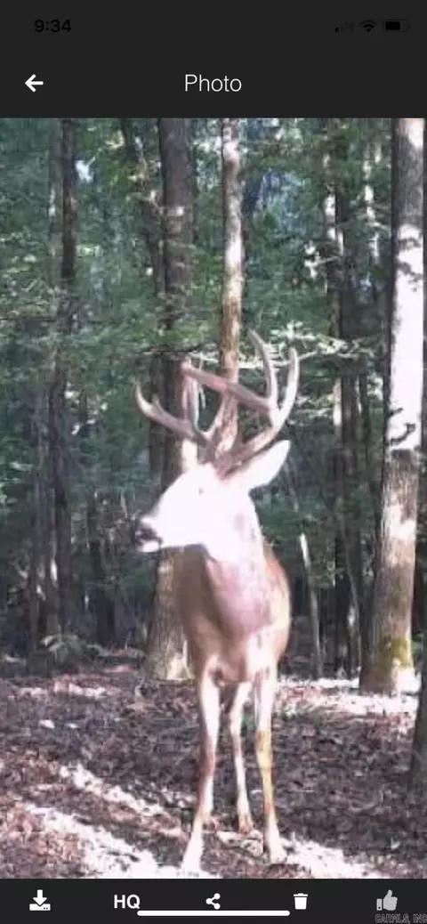 000 Hwy 385 S, Griffithville, AR 72060