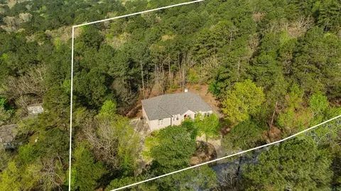 Other - 21619 Twin Bluff Loop, Roland, AR 72135 photo 1 of 9