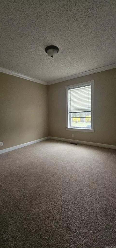 10021 Webster Rd, White Hall, AR 71602 photo 22