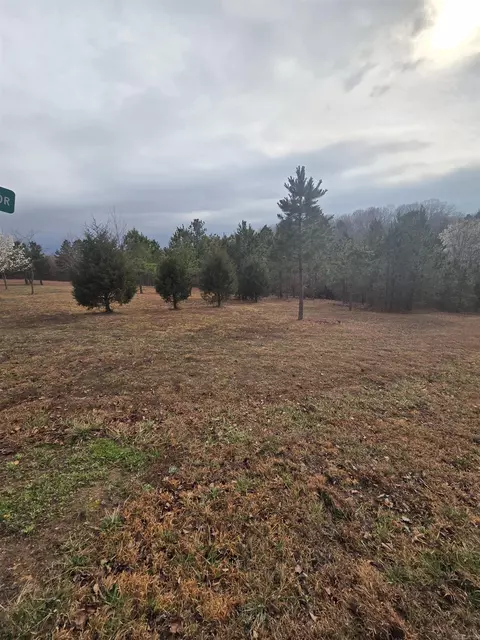 000 Tournament Dr, Mountain View, AR 72560