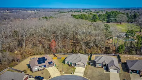 View/Area - 761 Mango Loop, Austin, AR 72007 photo 2 of 3