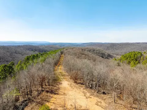 Collistown Rd, Cushman, AR 72526 photo 26