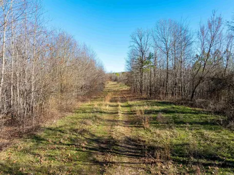 Collistown Rd, Cushman, AR 72526 photo 16