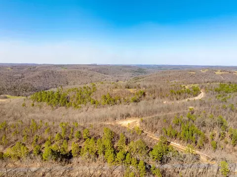 Collistown Rd, Cushman, AR 72526 photo 24