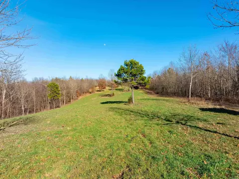 Collistown Rd, Cushman, AR 72526 photo 5