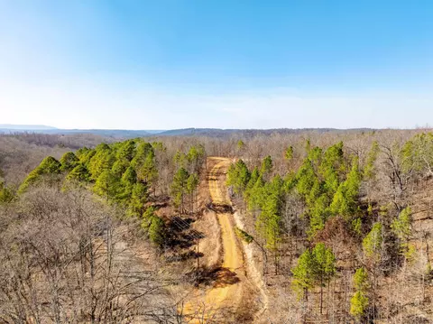 Collistown Rd, Cushman, AR 72526 photo 25