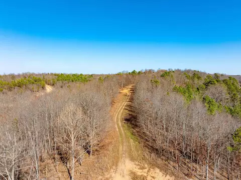 Collistown Rd, Cushman, AR 72526 photo 27