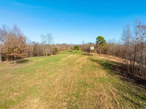 Collistown Rd, Cushman, AR 72526 photo 6