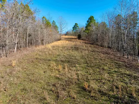 Collistown Rd, Cushman, AR 72526 photo 12
