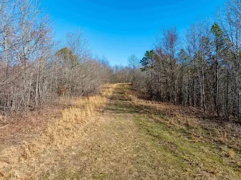 Collistown Rd, Cushman, AR 72526 photo 10