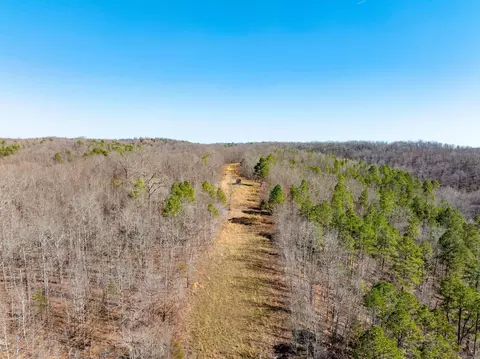 Collistown Rd, Cushman, AR 72526 photo 14
