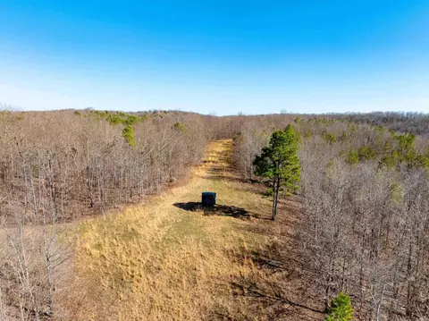 Collistown Rd, Cushman, AR 72526 photo 19