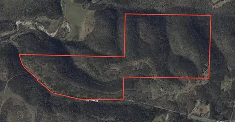 Collistown Rd, Cushman, AR 72526 photo 36