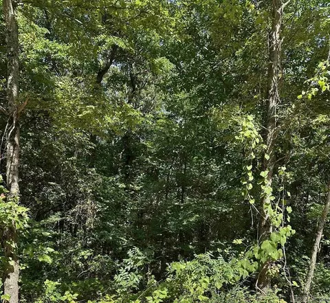 3 5 Acres Heber Springs Rd, Locust Grove, AR 72550