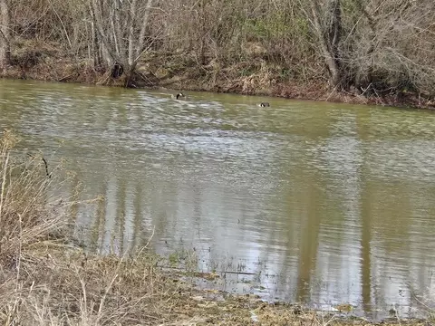 000 S Amity Rd, Conway, AR 72032 photo 8