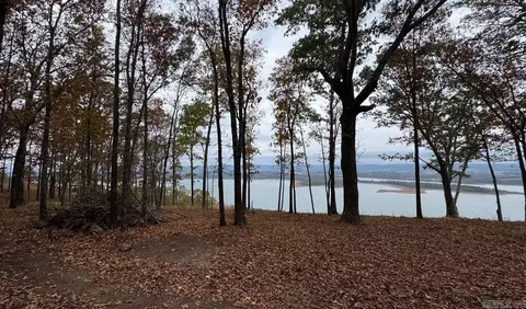 71 Sawyer Rd, Quitman, AR 72131 photo 7