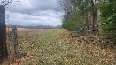 tbd Albert Pike Rd, Royal, AR 71968