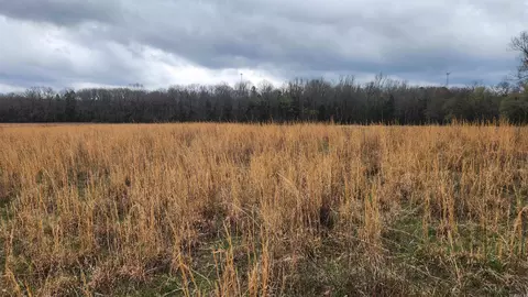 tbd Albert Pike Rd, Royal, AR 71968 photo 12