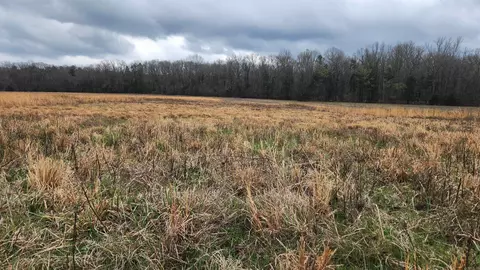 tbd Albert Pike Rd, Royal, AR 71968 photo 17