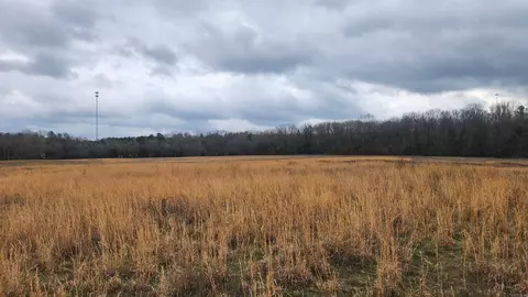 tbd Albert Pike Rd, Royal, AR 71968 photo 14