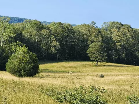 tbd Albert Pike Rd, Royal, AR 71968 photo 21