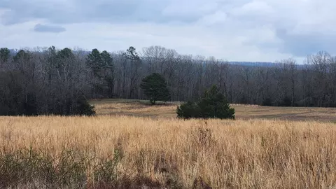 tbd Albert Pike Rd, Royal, AR 71968 photo 18
