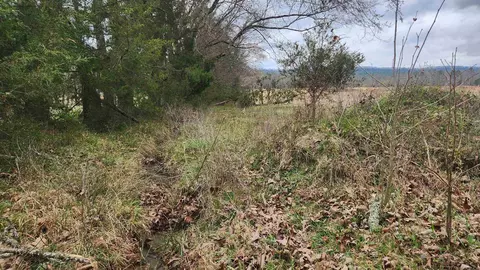 tbd Albert Pike Rd, Royal, AR 71968 photo 2