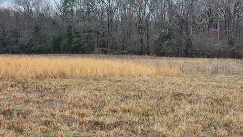 tbd Albert Pike Rd, Royal, AR 71968 photo 19