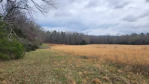 tbd Albert Pike Rd, Royal, AR 71968 photo 11