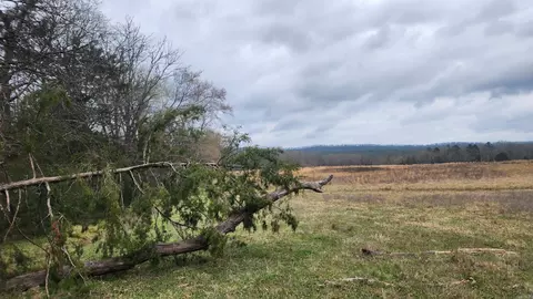tbd Albert Pike Rd, Royal, AR 71968 photo 3