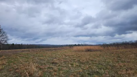 tbd Albert Pike Rd, Royal, AR 71968 photo 6