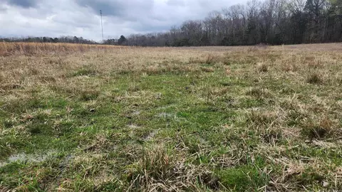 tbd Albert Pike Rd, Royal, AR 71968 photo 5