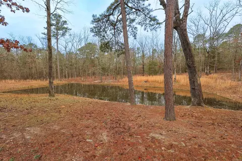 Other - 59 Easy St, Mount Ida, AR 71957 photo 7 of 7