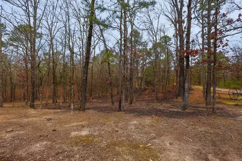 Exterior - 59 Easy St, Mount Ida, AR 71957 photo 13 of 24