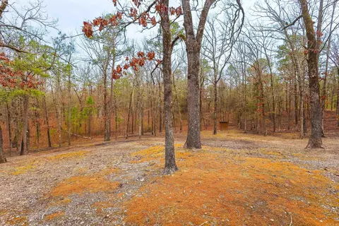 Exterior - 59 Easy St, Mount Ida, AR 71957 photo 21 of 24