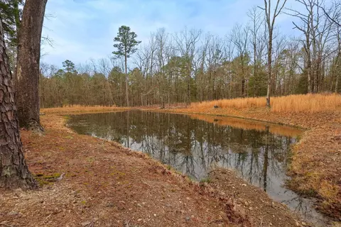 View/Area - 59 Easy St, Mount Ida, AR 71957 photo 4 of 4