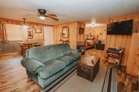 Living - 59 Easy St, Mount Ida, AR 71957 photo 1 of 2