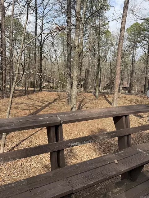 Exterior - 2409 Tannenbaum Rd, Drasco, AR 72530 photo 6 of 7