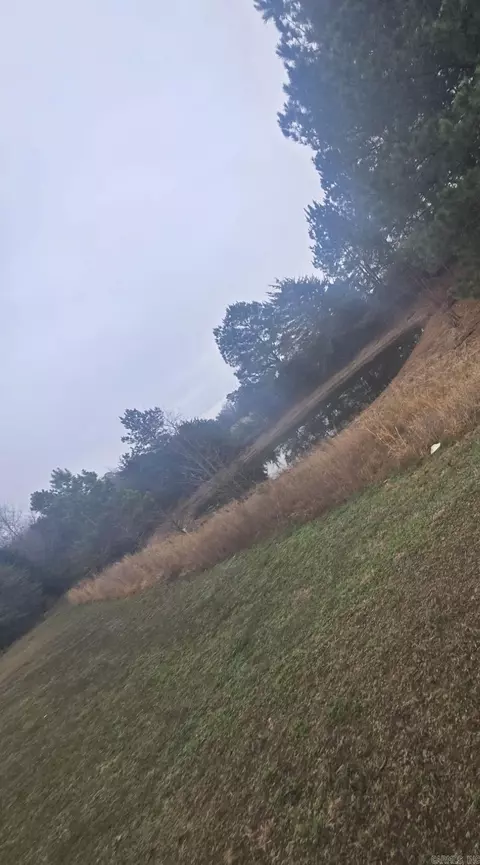 4595 Ranch Rd, Bee Branch, AR 72013 photo 12
